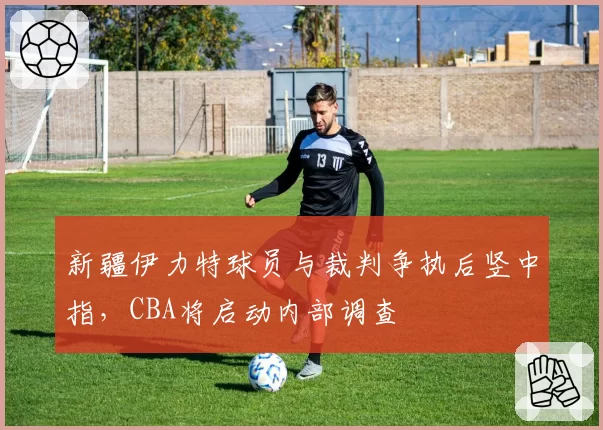 新疆伊力特球员与裁判争执后竖中指，CBA将启动内部调查