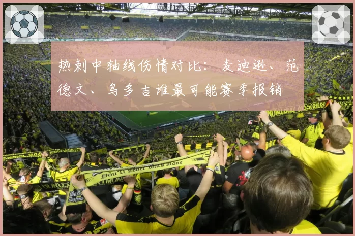 热刺中轴线伤情对比：麦迪逊、范德文、乌多吉谁最可能赛季报销